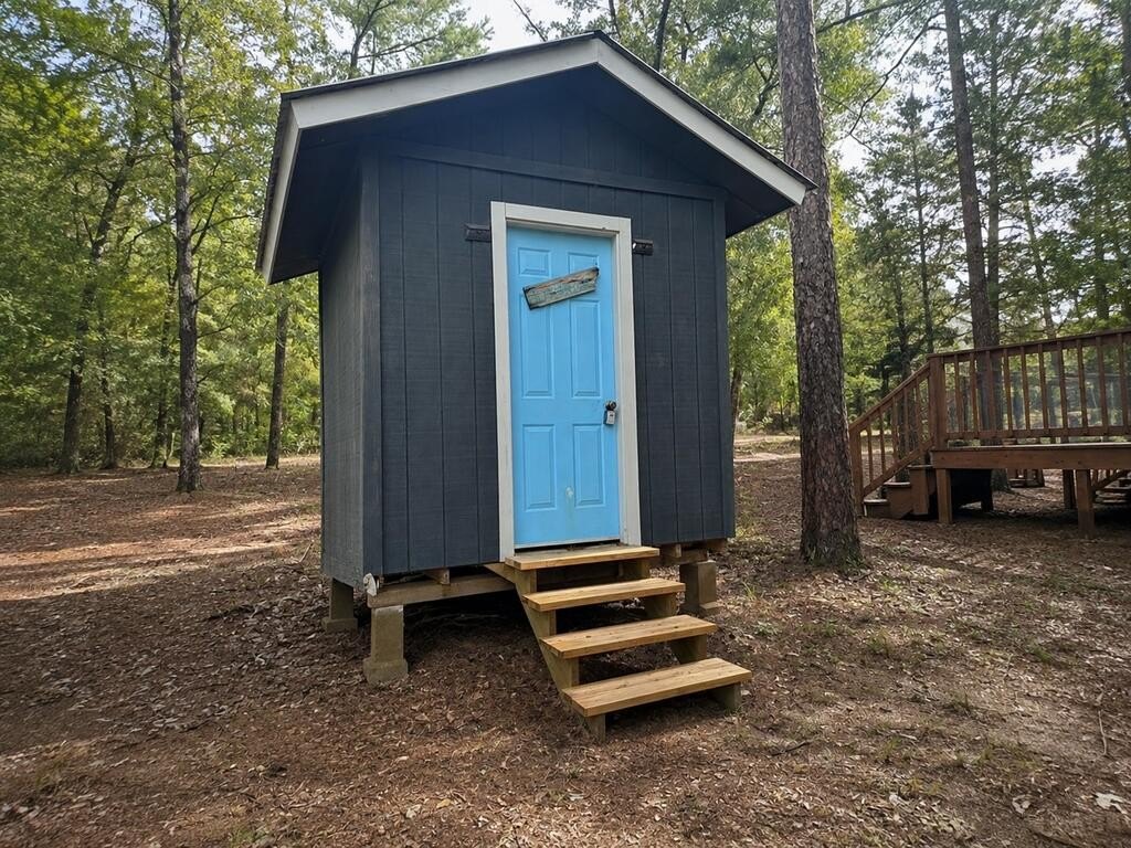 Picture 11