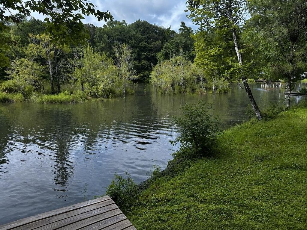 Picture 7