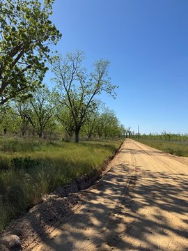 3-Acre Country Homesite Opportunity