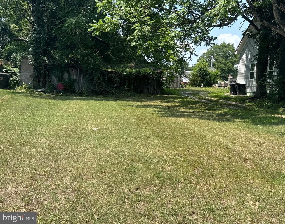 Picture 3