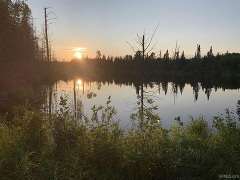 Waterfront Hunting Land with Cabin