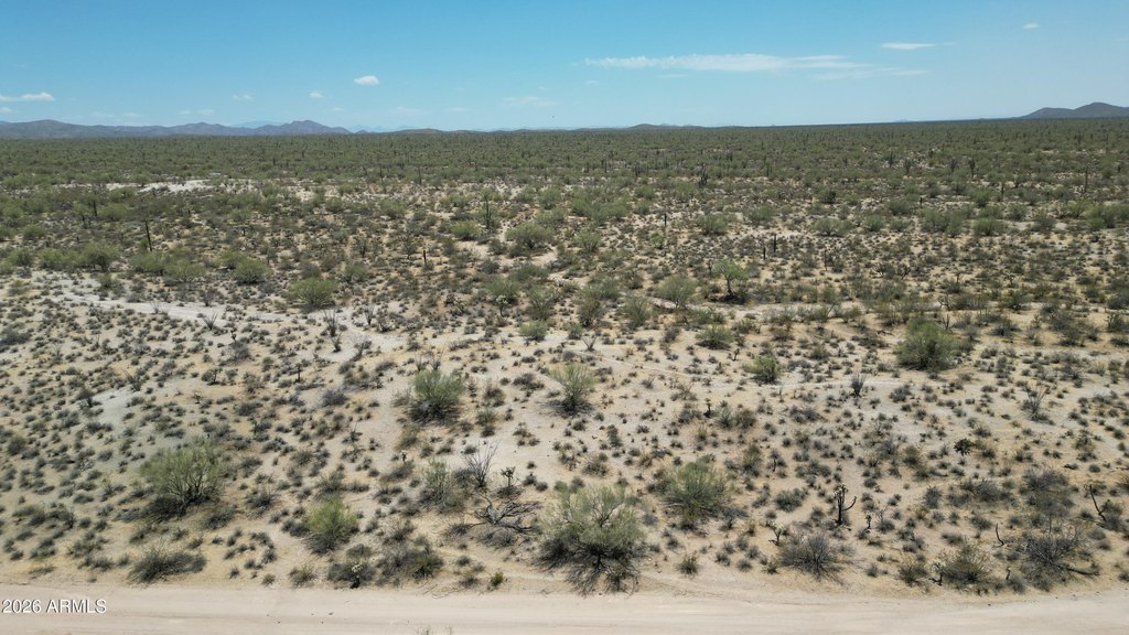 Picture 16