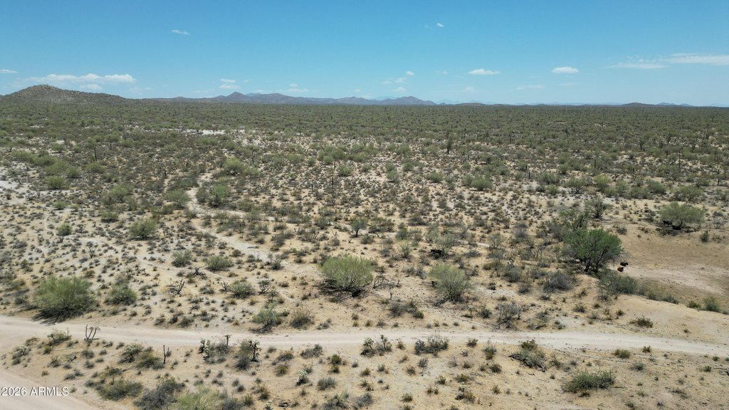 Picture 21