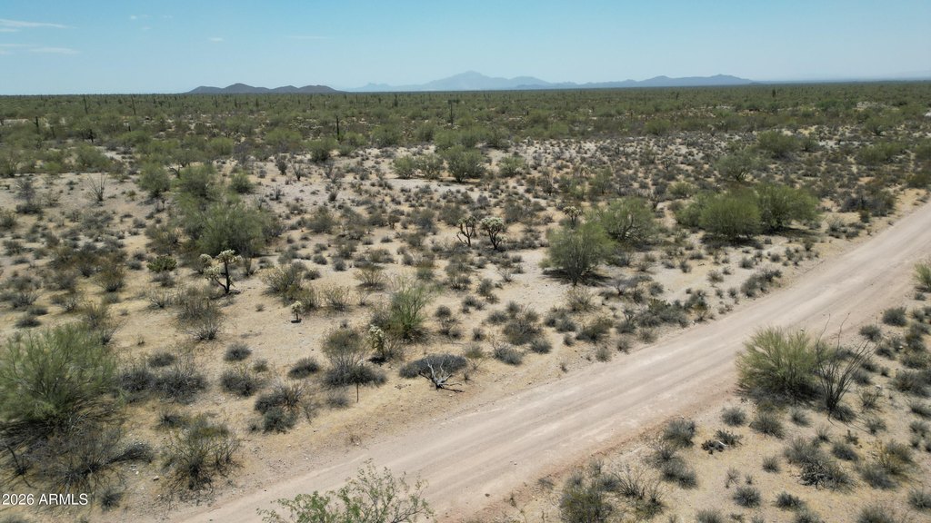 Picture 18