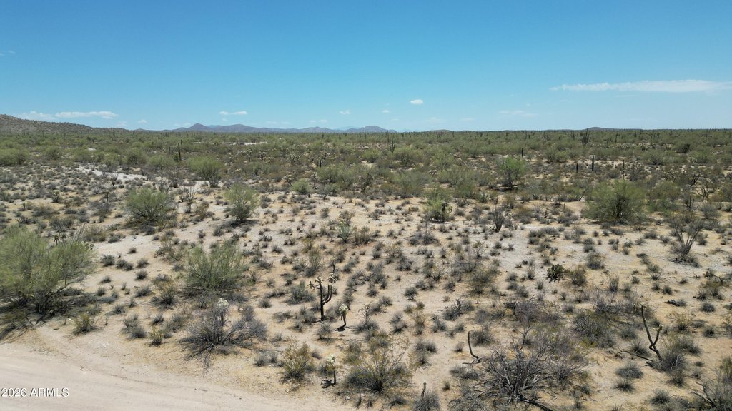 Picture 14