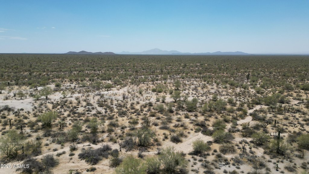 Picture 20
