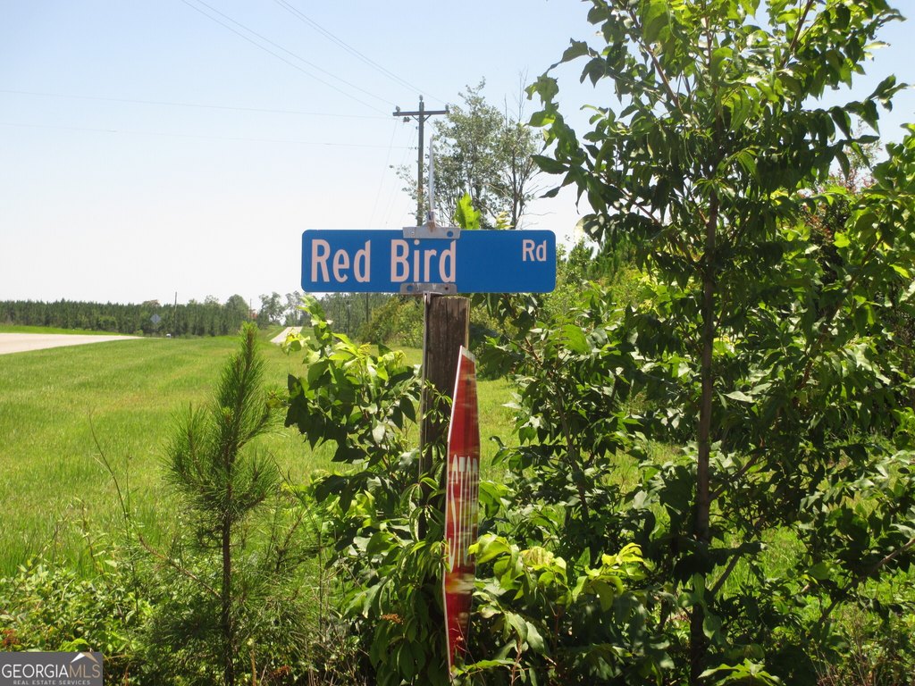 Picture 9