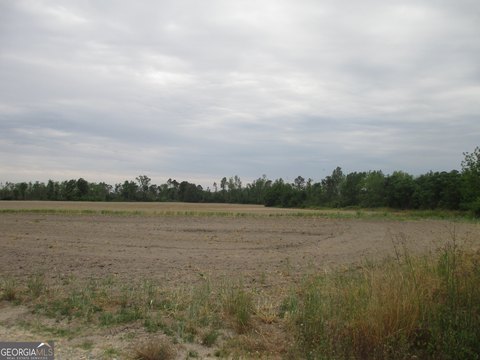 21.49 Acres Open Farmland