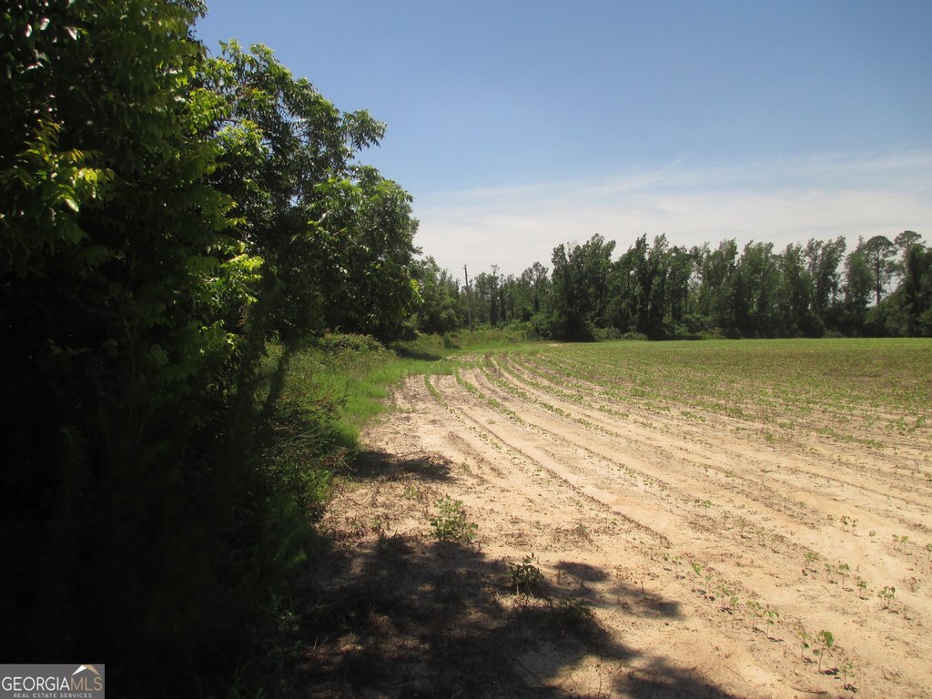 Picture 6