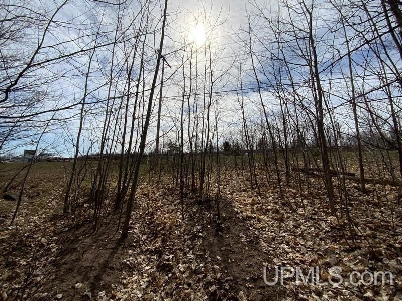 Picture 8