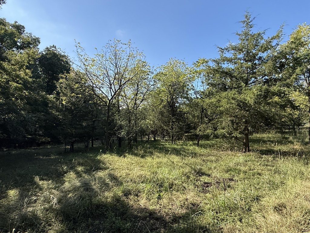 Picture 23