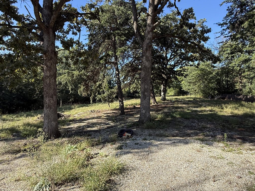Picture 16