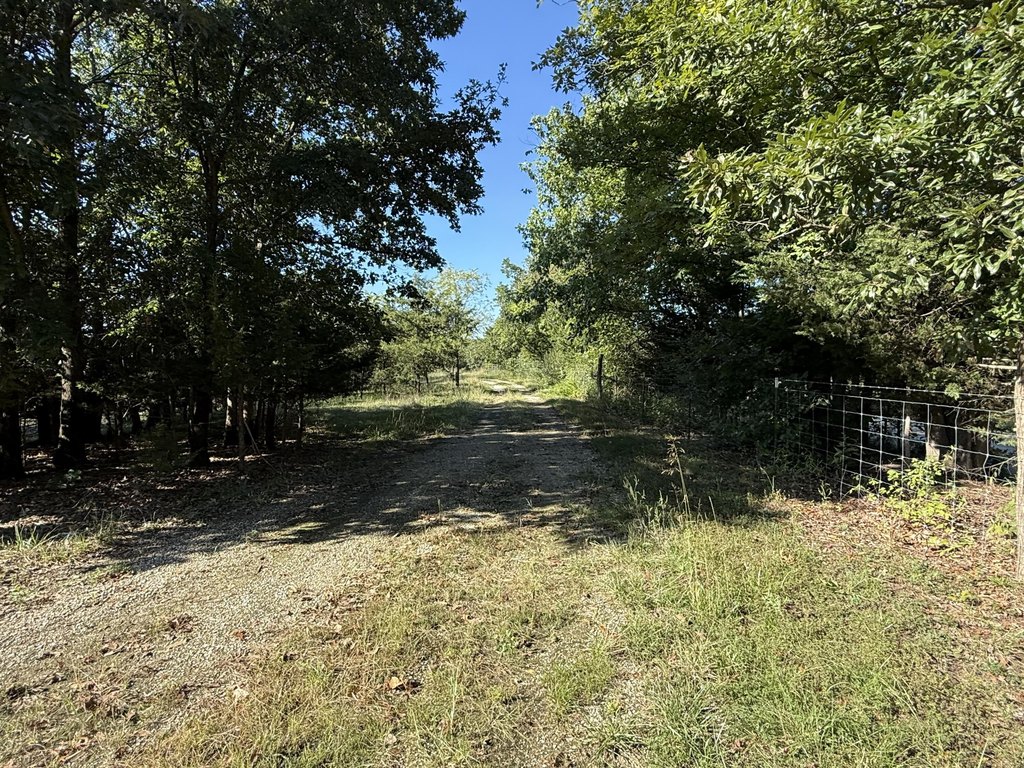 Picture 22