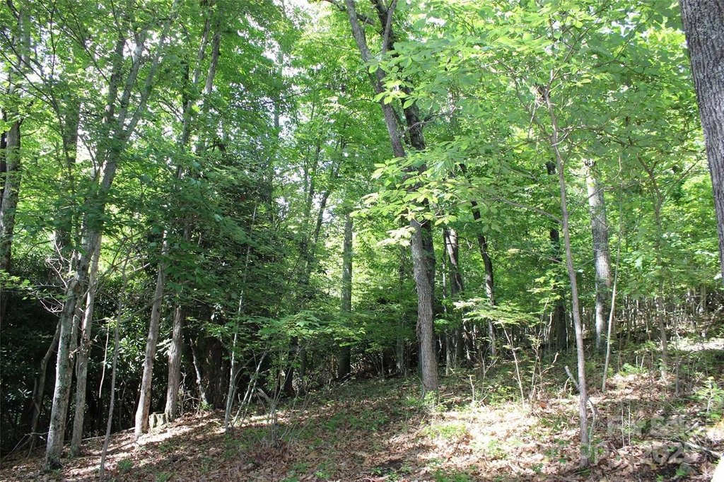 Picture 23