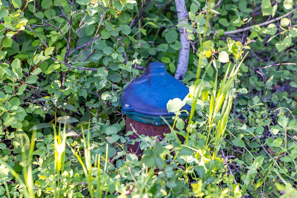 Picture 13
