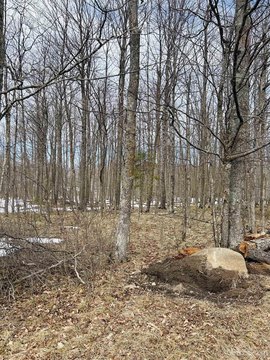 Hardwood, MI Land Parcel