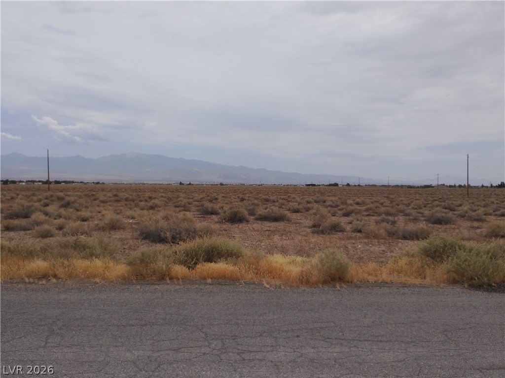 Picture 8
