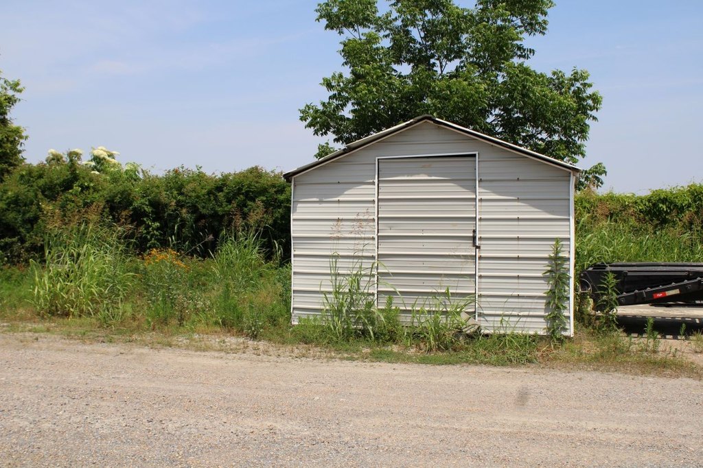 Picture 17