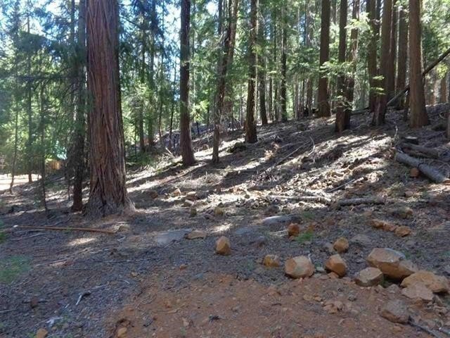 Land Near Lake Almanor