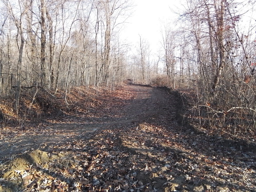 Picture 5