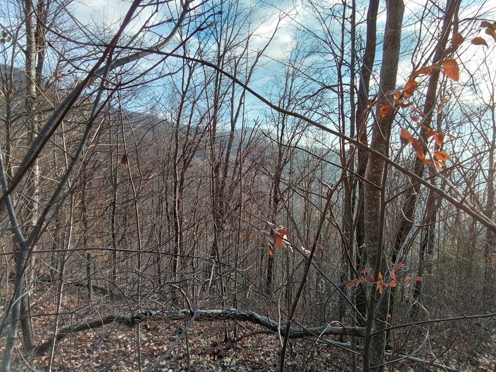 Picture 4