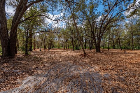 Wooded Residential Development Land