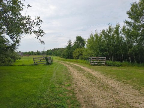 LAND - Carlos, MN