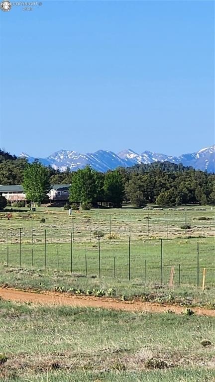 Picture 10