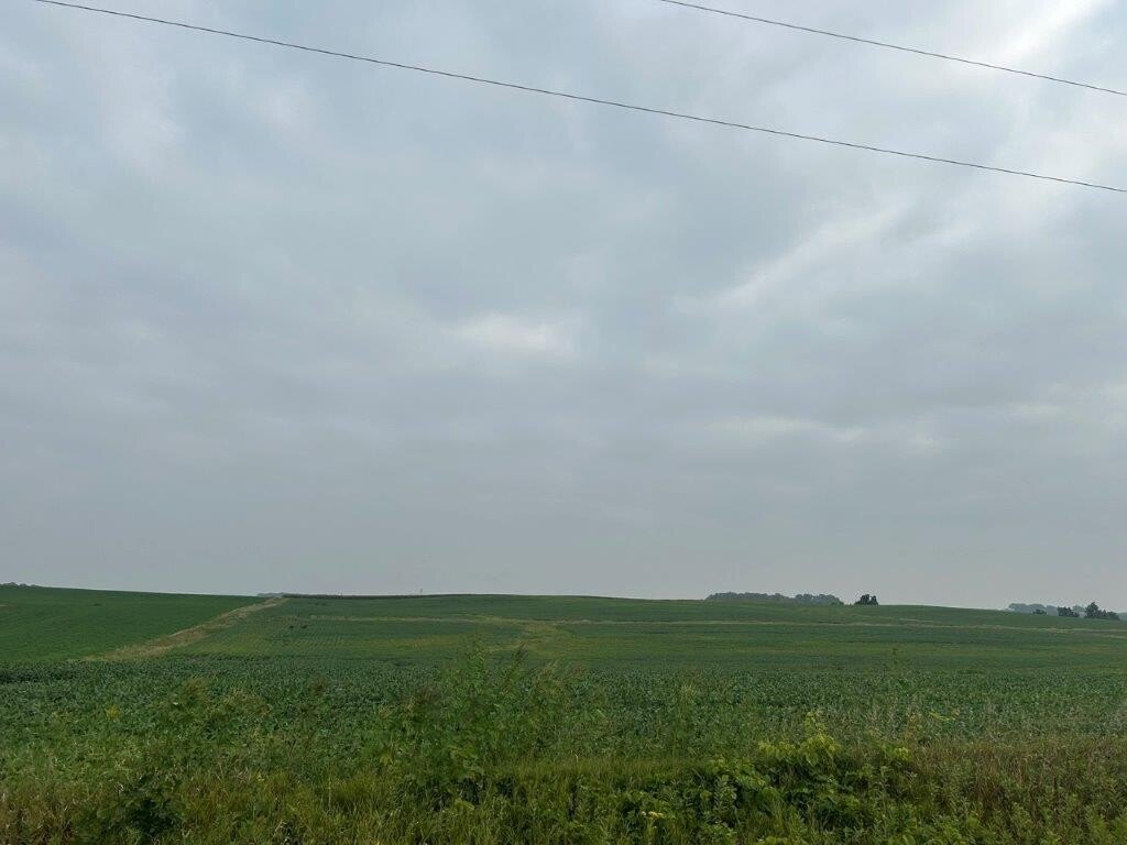 Picture 3