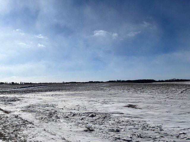 Picture 23