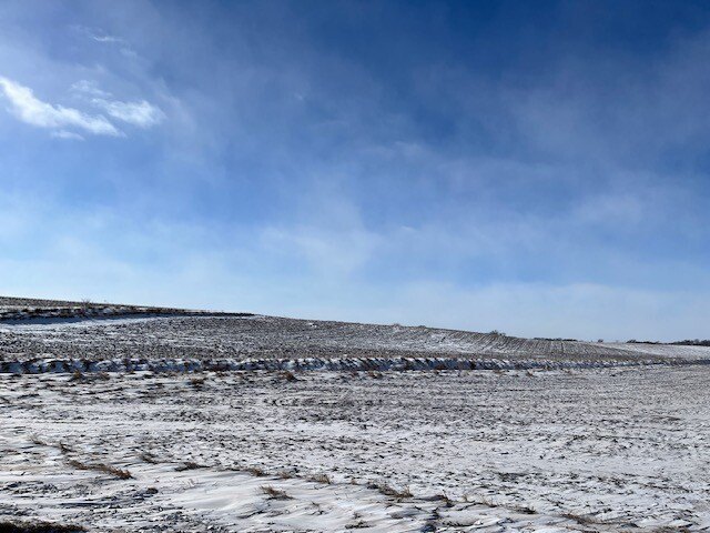 Picture 25