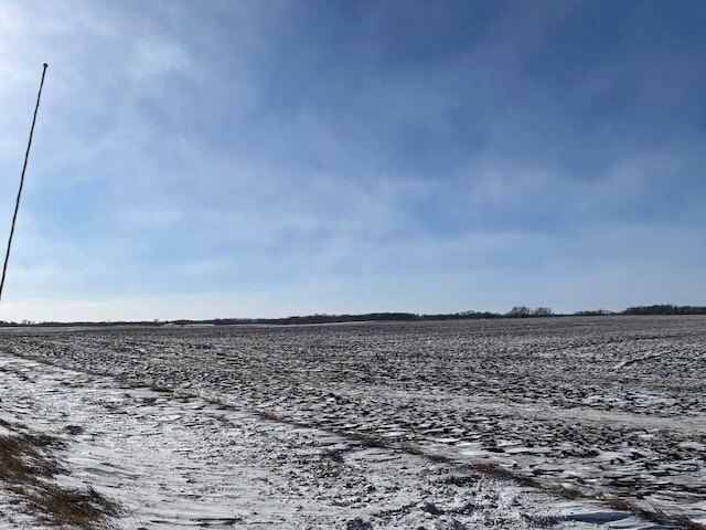 Picture 20