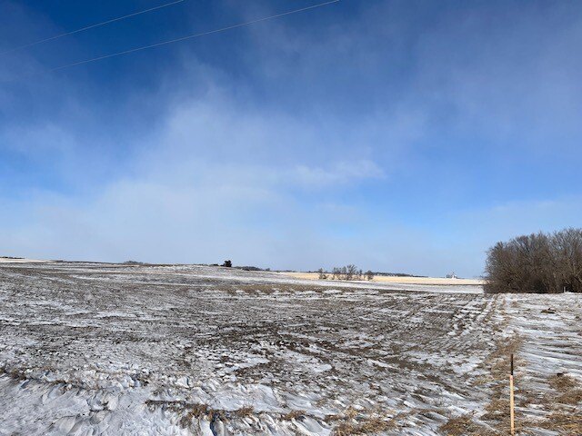 Picture 27