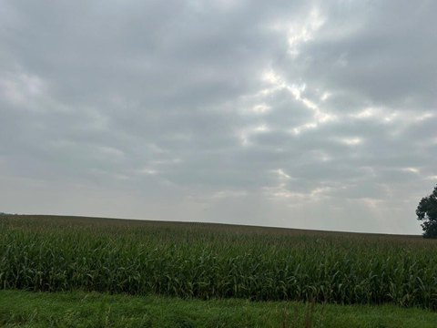 Agricultural Farmland Tracts