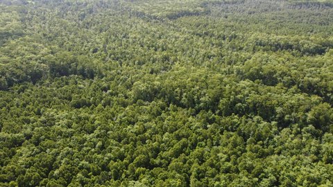 Recreational Hunting Land