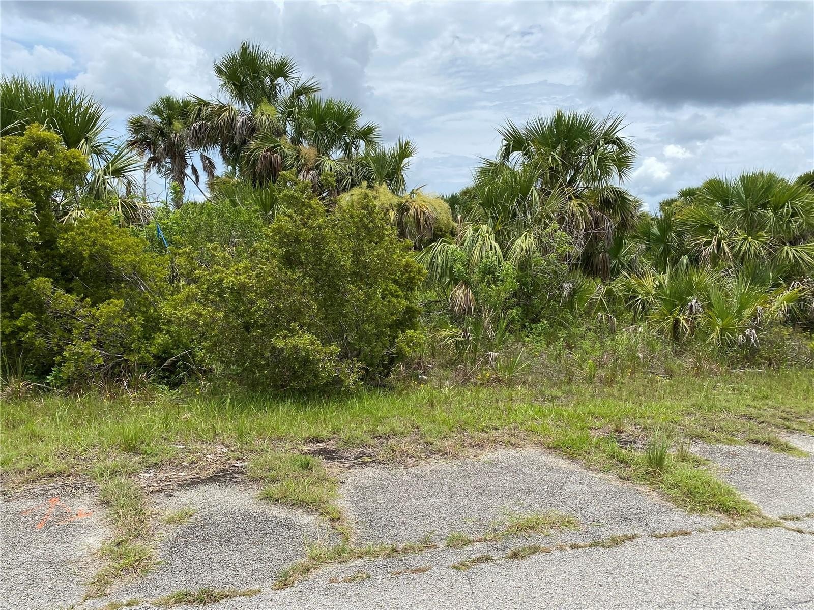 Residential Land in North Port