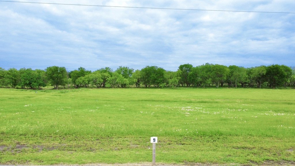 Picture 6