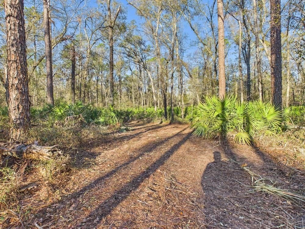 Vacant Wooded Lot Near River