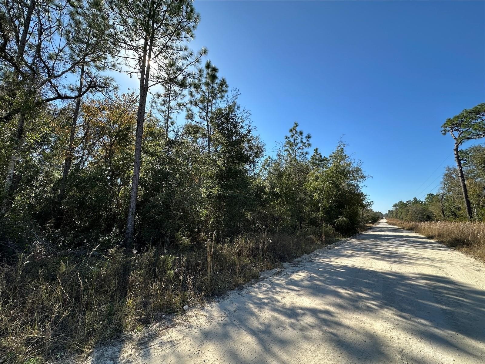 Williston Highlands 1 Acre Lot