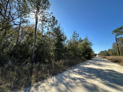 Williston Highlands Acre Corner Lot