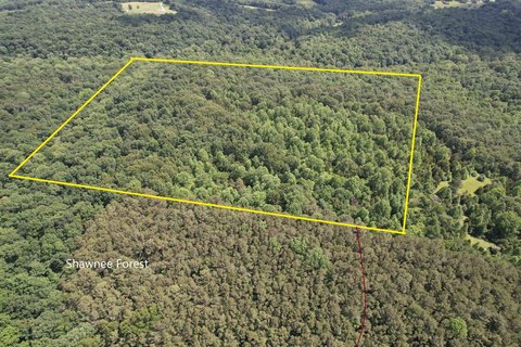 Wooded Hunting and Recreational Land