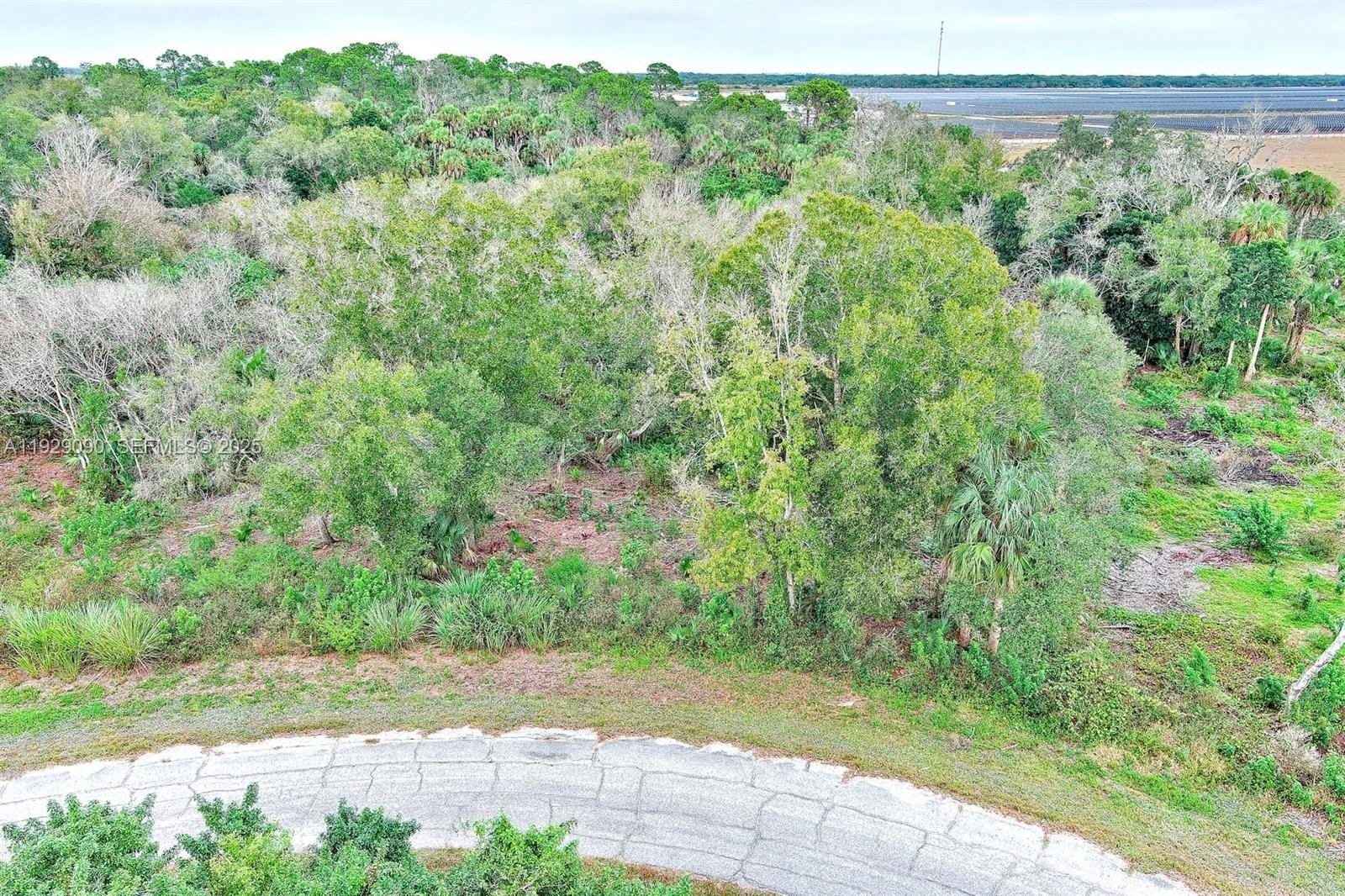 Vacant Lot in LaBelle, FL