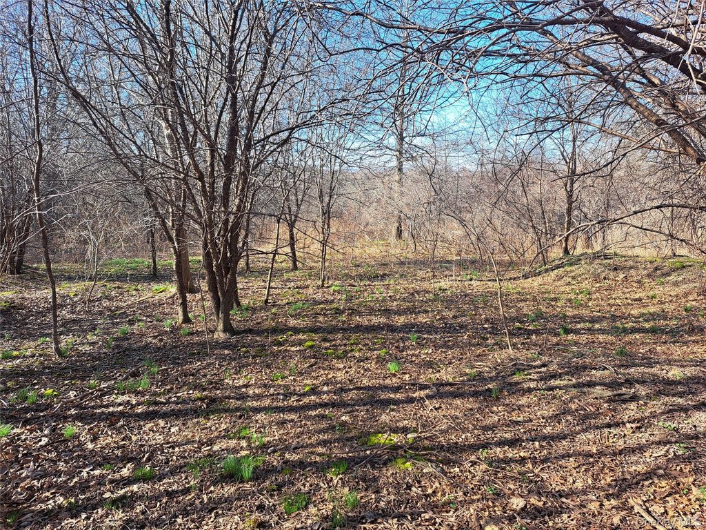 Picture 5