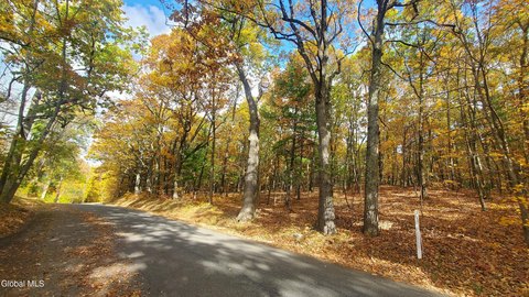 8-Acre Wooded Parcel in Kinderhook
