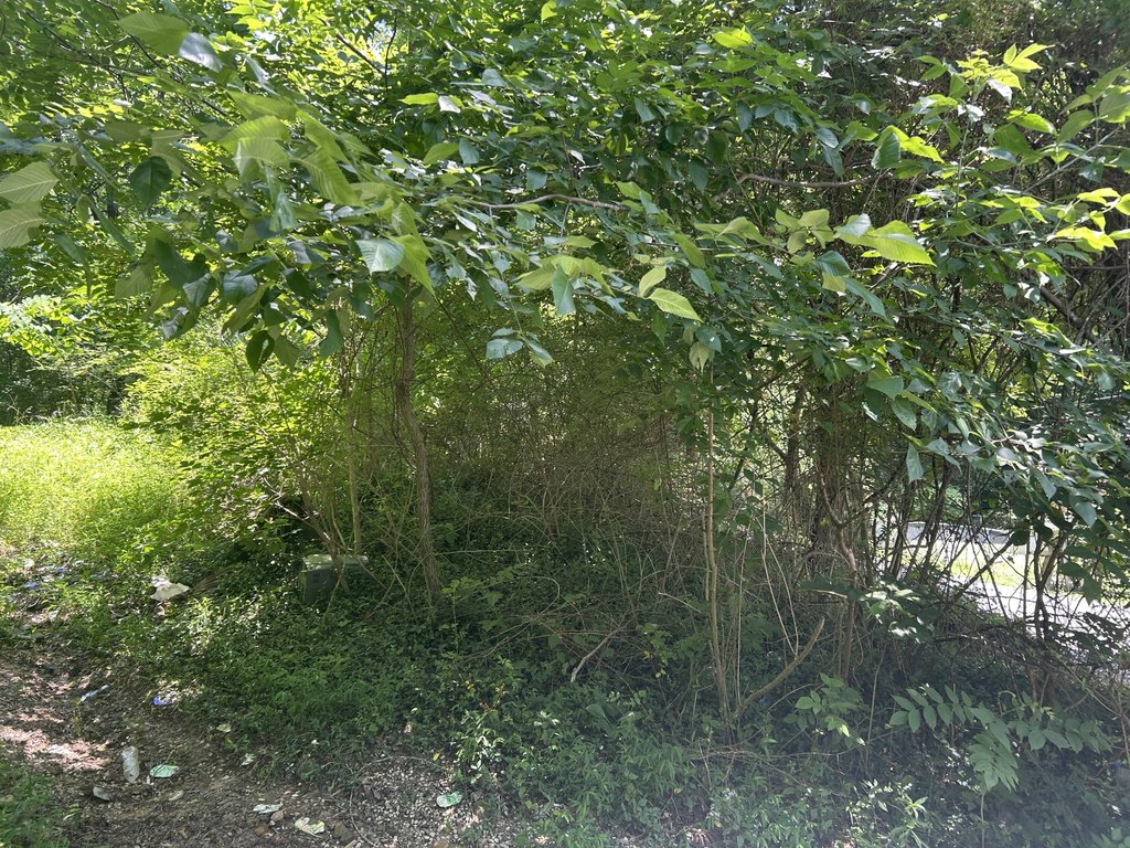 Picture 2