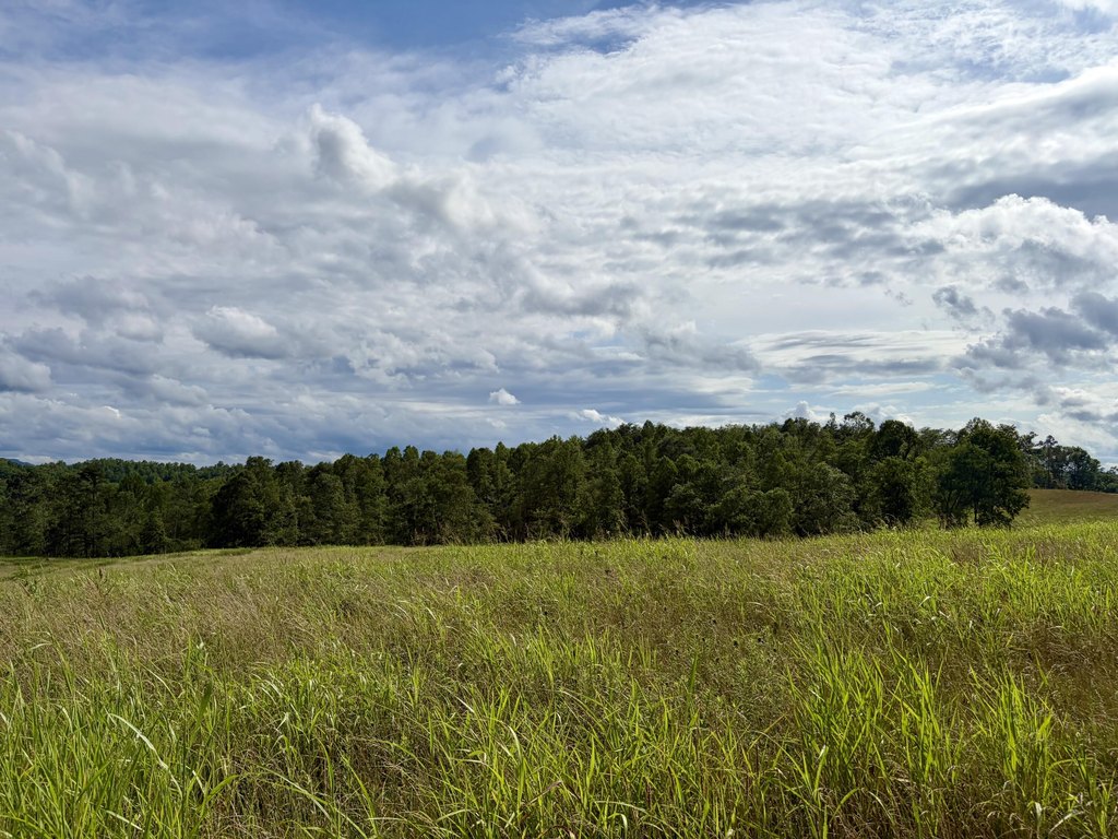 Picture 24