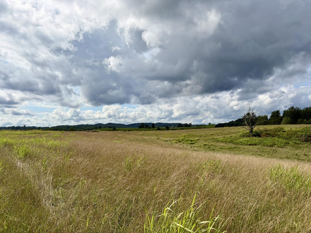 Picture 30
