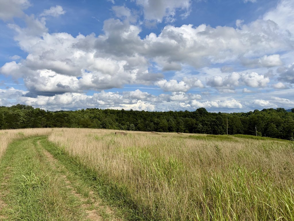 Picture 26