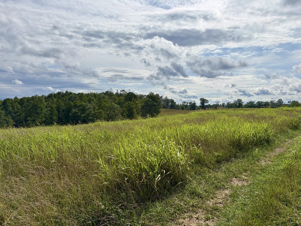 Picture 29
