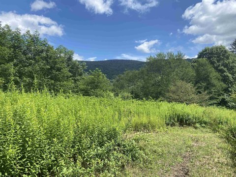 Slaty Fork Land Near Snowshoe